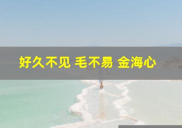 好久不见 毛不易 金海心